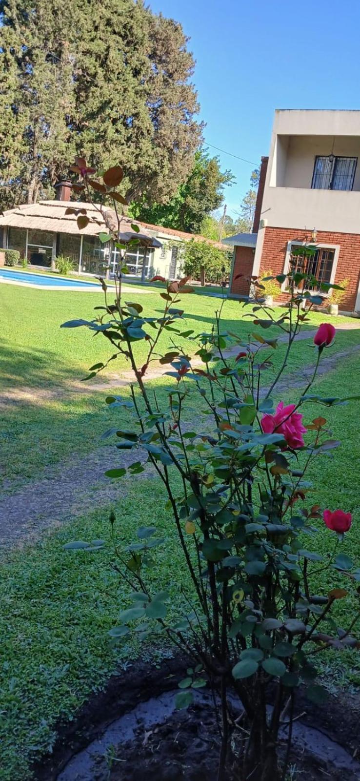 Providencia Tortuguitas